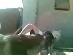 A large dog thuds a married slut in an outdoor doggystyle fucking excursion